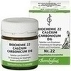 Biochemie 22 Calcium Carbonicum D 6  Tabletten