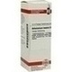 Anhalonium Lewinii D 4 Dilution