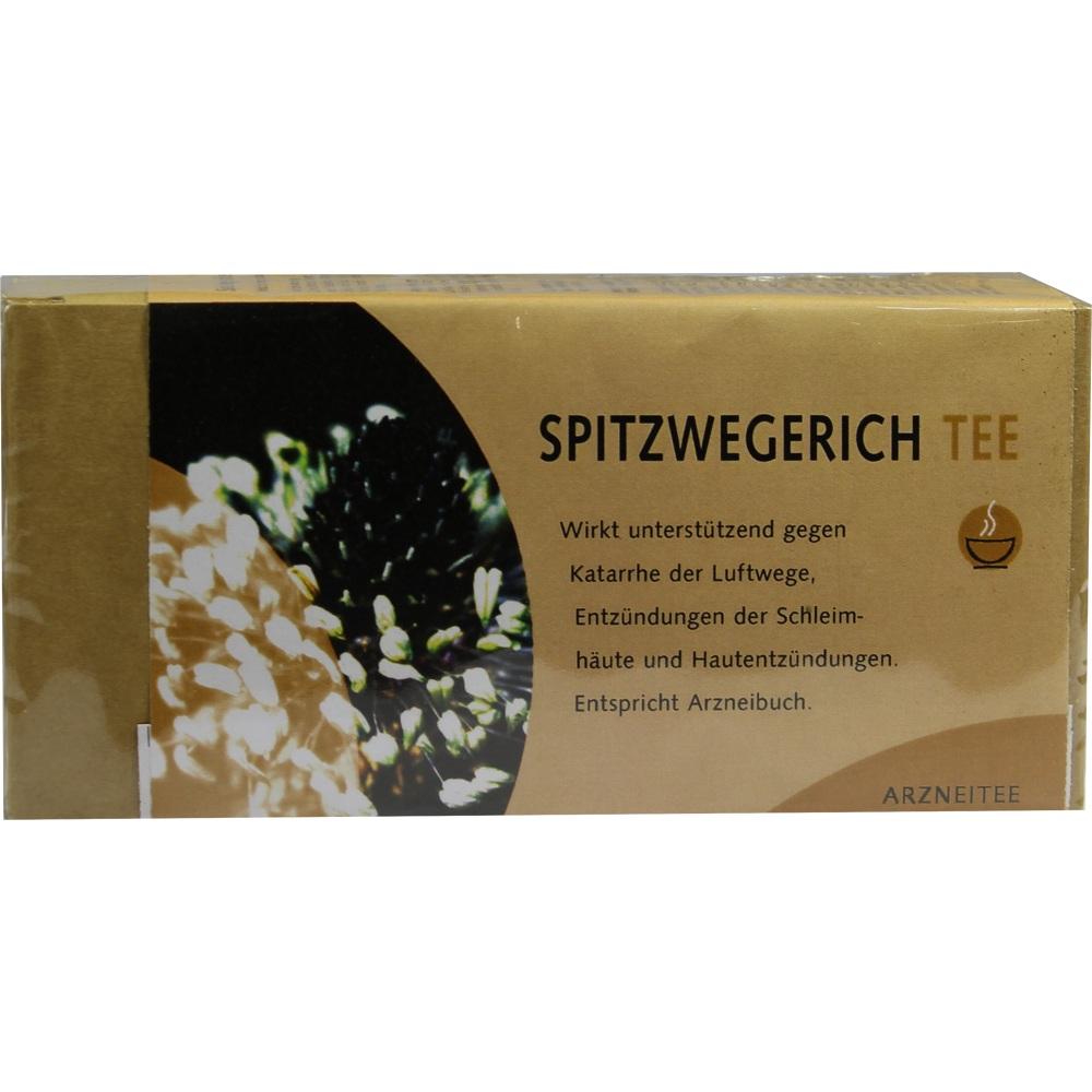 Spitzwegerichtee