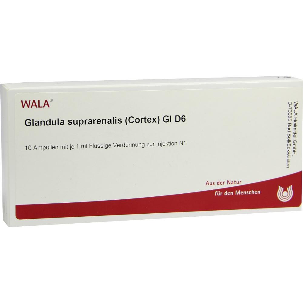 GLANDULA SUPRARENALES cortex GL D 6 Ampullen