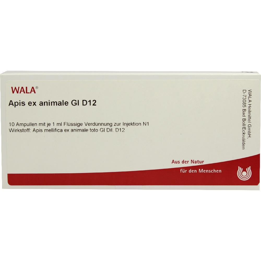APIS EX animale GL D 12 Ampullen