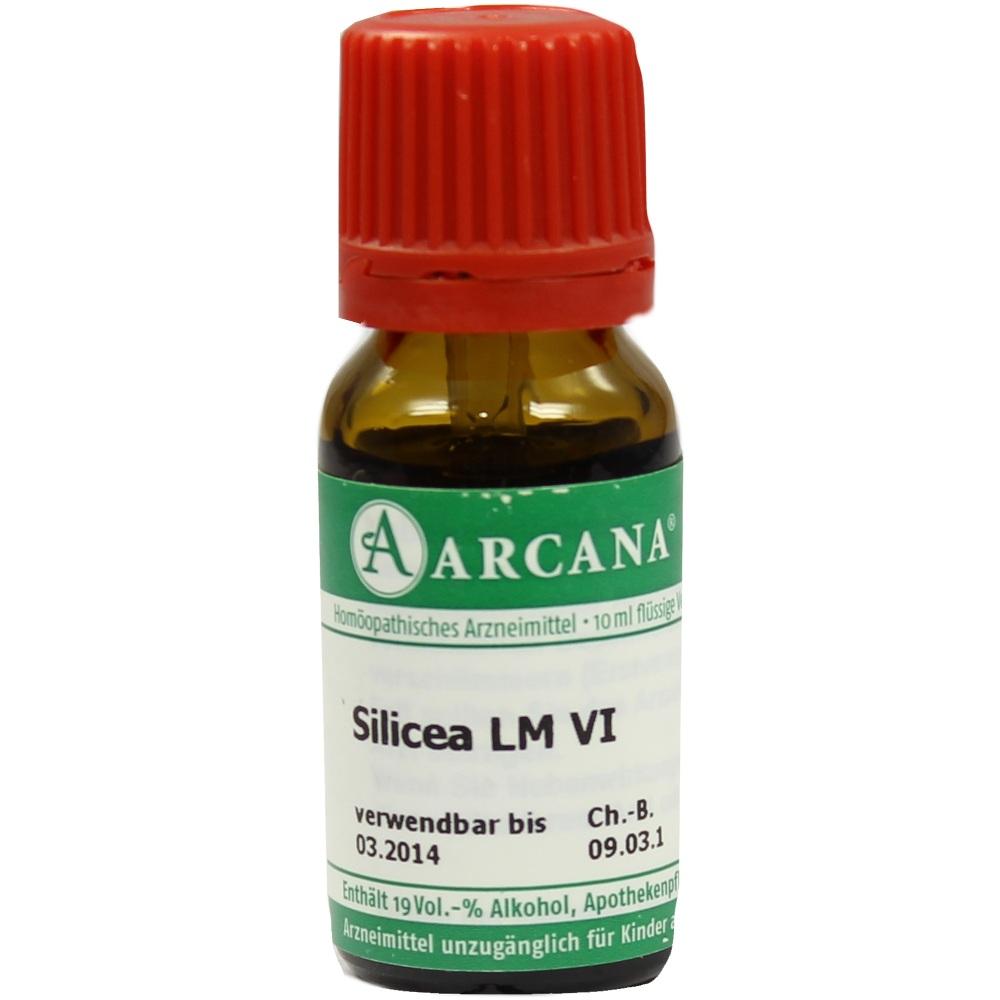 SCILLA LM 6 Dilution