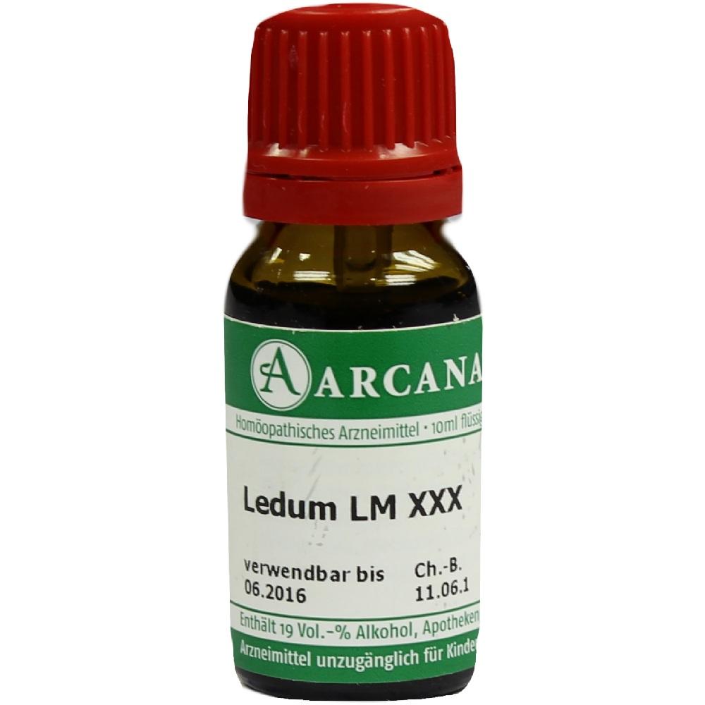 LEDUM LM 30 Dilution