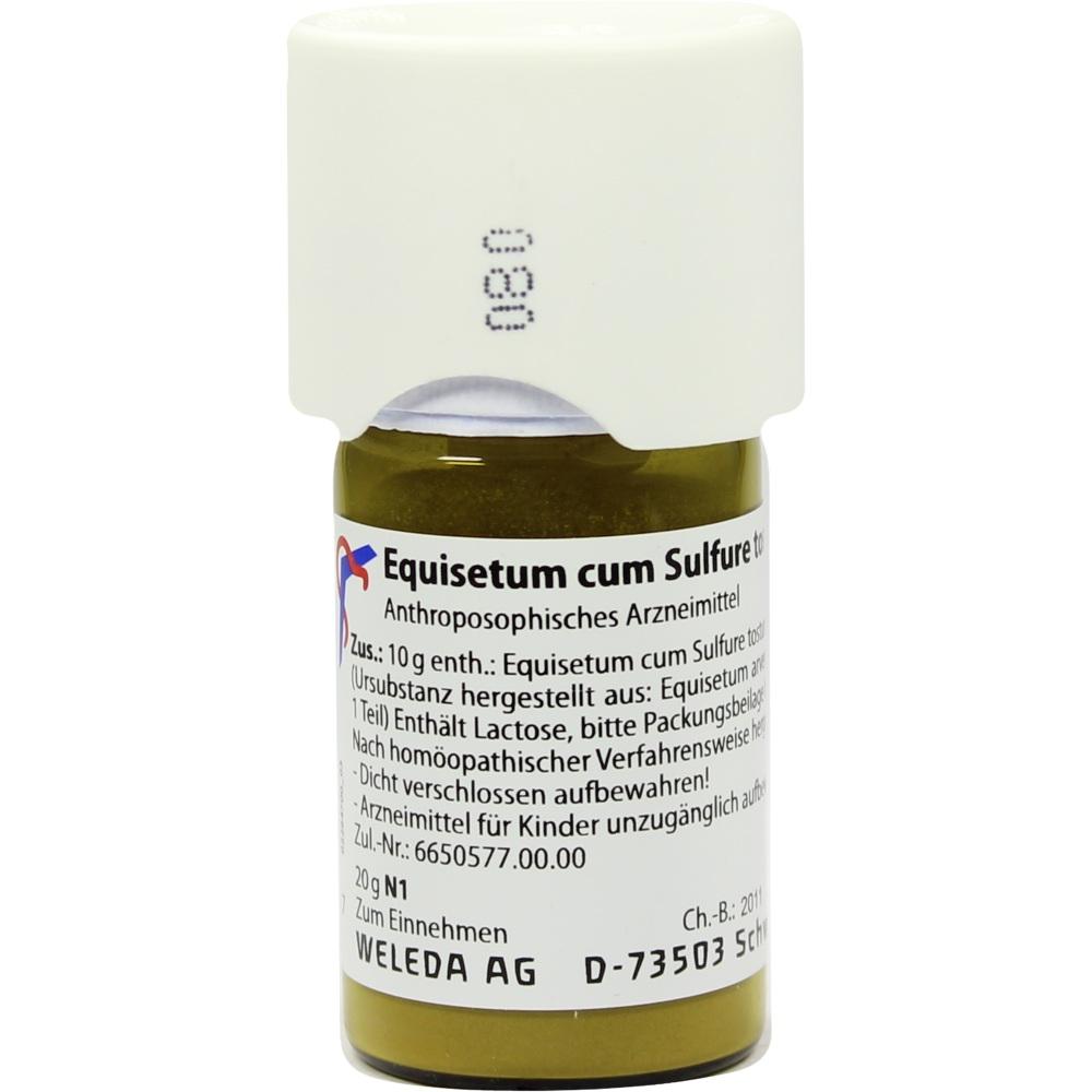 EQUISETUM CUM Sulfure tostum D 1 Trituration