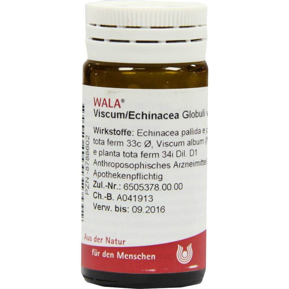 VISCUM ECHINACEA Globuli