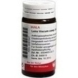 Lens Viscum Comp. Globuli Velati PZN: 00081547