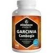 Garcinia Cambogia+cholin Vitamaze Kapseln PZN: 12580528