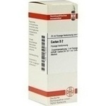 CACTUS D 2 Dilution