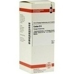 CACTUS D 6 Dilution