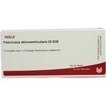 FASCICULUS atrioventricularis GL D 30 Ampullen