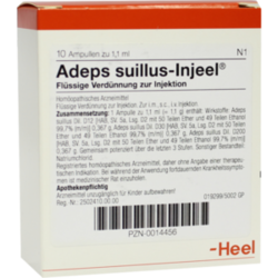 Verpackungsbild(Packshot) von ADEPS SUILLUS Injeel Ampullen