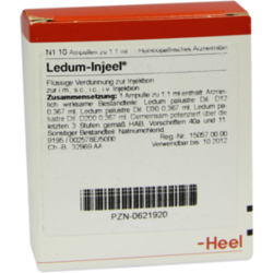 Verpackungsbild(Packshot) von LEDUM INJEEL Ampullen