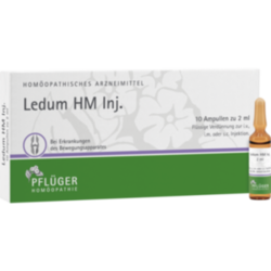 Verpackungsbild (Packshot) von LEDUM HM Injekt Ampullen