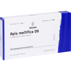 Verpackungsbild (Packshot) von APIS MELLIFICA D 6 Ampullen