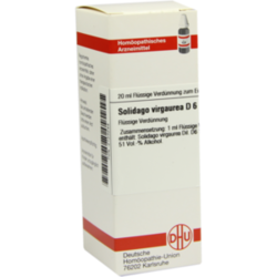 Verpackungsbild (Packshot) von SOLIDAGO VIRGAUREA D 6 Dilution