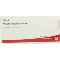 Verpackungsbild (Packshot) von VALVULA tricuspidalis GL D 12 Ampullen
