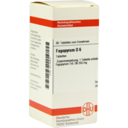 Verpackungsbild (Packshot) von FAGOPYRUM D 6 Tabletten