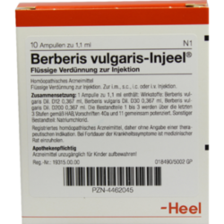 Verpackungsbild(Packshot) von BERBERIS VULGARIS INJEEL Ampullen