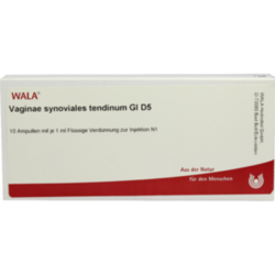 Verpackungsbild (Packshot) von VAGINAE synoviales tendinum GL D 5 Ampullen