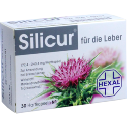 Verpackungsbild(Packshot) von SILICUR für die Leber Hartkapseln