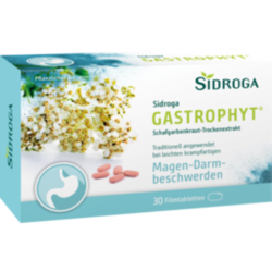 Verpackungsbild (Packshot) von SIDROGA GastroPhyt 250 mg Filmtabletten