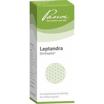 LEPTANDRA SIMILIAPLEX