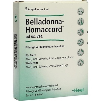 BELLADONNA HOMACCORD ad us.vet.Ampullen