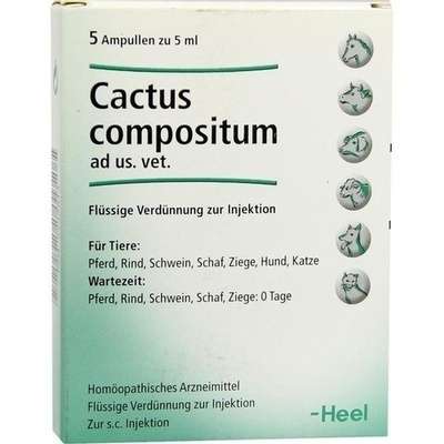 CACTUS COMPOSITUM ad us.vet.Ampullen