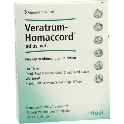 VERATRUM HOMACCORD ad us.vet.Ampullen