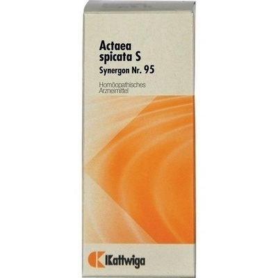 SYNERGON KOMPLEX 95 Actaea spicata S Tropfen