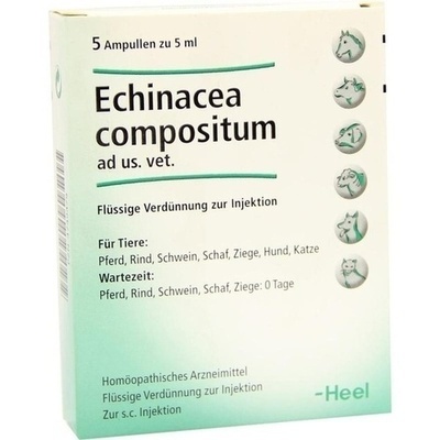 ECHINACEA COMPOSITUM ad us.vet.Ampullen