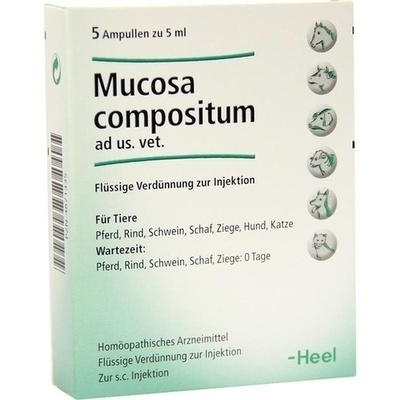 MUCOSA compositum ad us.vet.Ampullen