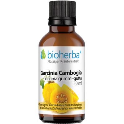GARCINIA CAMBOGIA Tinktur