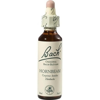 BACHBLÜTEN Hornbeam Tropfen BACHBLÜTEN Hornbeam Tropfen