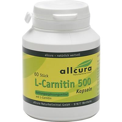 L-CARNITIN KAPSELN 500