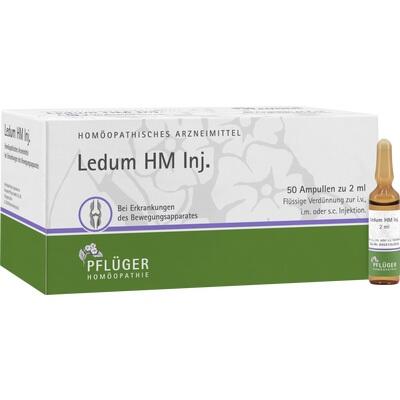 LEDUM HM Injekt Ampullen LEDUM HM Injekt Ampullen
