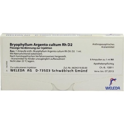 BRYOPHYLLUM ARGENTO cultum Rh D 2 Ampullen