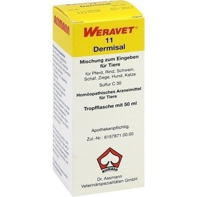 DERMISAL 11 Tropfen vet.