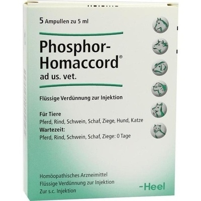 PHOSPHOR HOMACCORD ad us.vet.Ampullen