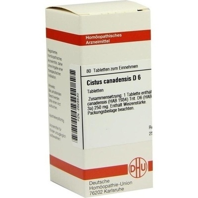 CISTUS CANADENSIS D 6 Tabletten