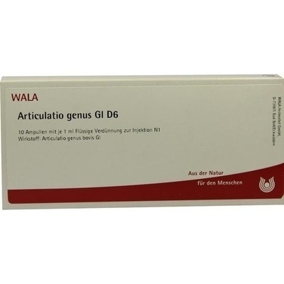 ARTICULATIO genus GL D 6 Ampullen