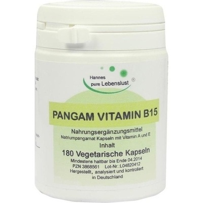 PANGAM Vitamin B15 Vegi Kapseln 180x0,445 g 03868561 