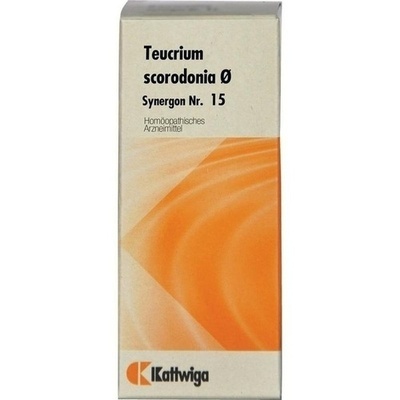 SYNERGON KOMPLEX 15 Teucrium Urtinktur