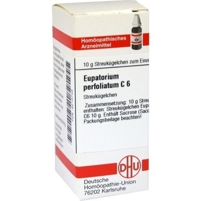 EUPATORIUM PERFOLIATUM C 6 Globuli