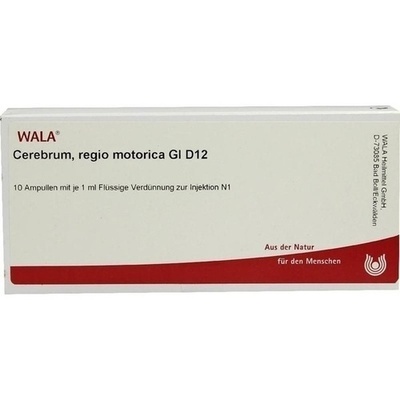 CEREBRUM REGIO motorica GL D 12 Ampullen