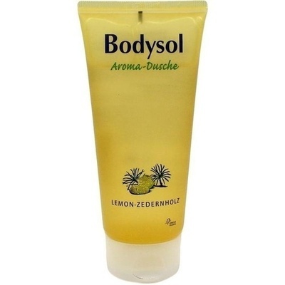 BODYSOL Aroma Duschgel Lemon Zedernholz