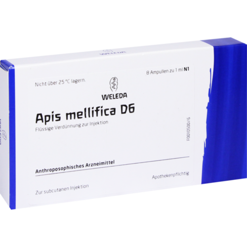 Verpackungsbild(Packshot) von APIS MELLIFICA D 6 Ampullen