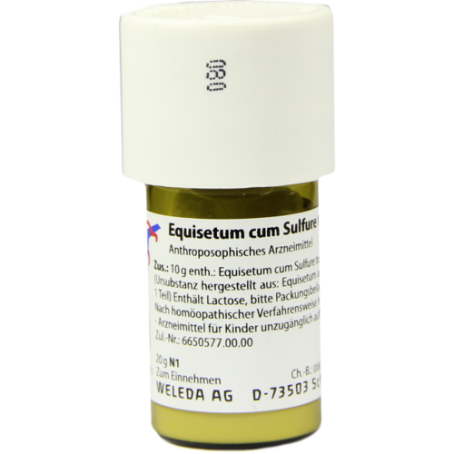 Verpackungsbild(Packshot) von EQUISETUM CUM Sulfure tostum D 4 Trituration