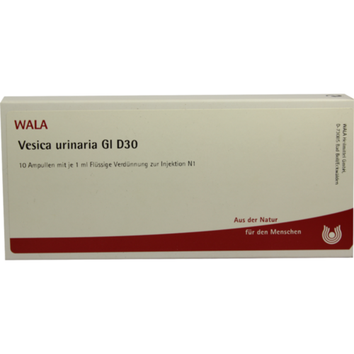 Verpackungsbild(Packshot) von VESICA URINARIA GL D 30 Ampullen