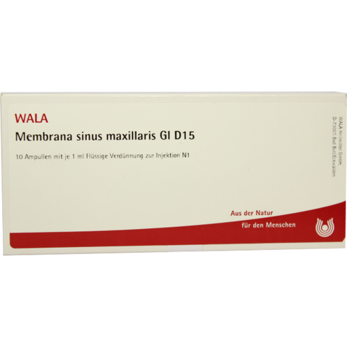 Verpackungsbild(Packshot) von MEMBRANA sinus maxillaris GL D 15 Ampullen